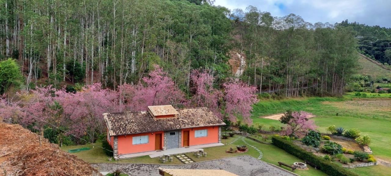 Cabanas Eco Das Montanhas ドミンゴス・マルチンス エクステリア 写真