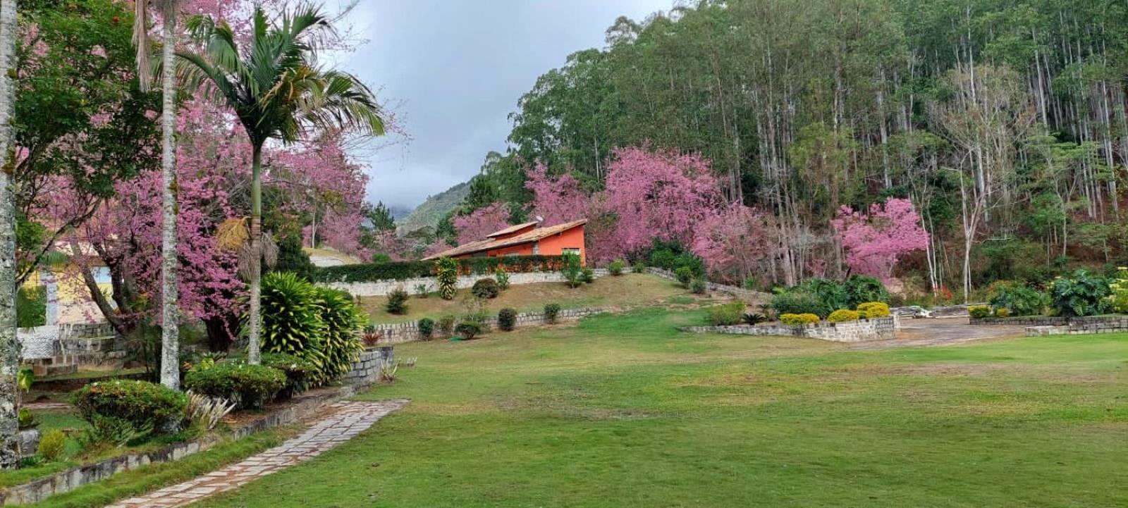 Cabanas Eco Das Montanhas ドミンゴス・マルチンス エクステリア 写真
